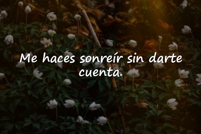 Imágenes frases para ligar - 14