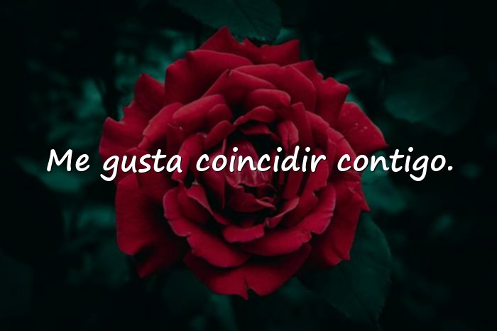Imágenes frases para ligar - 10