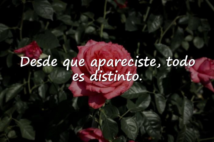 Imágenes frases para ligar - 5
