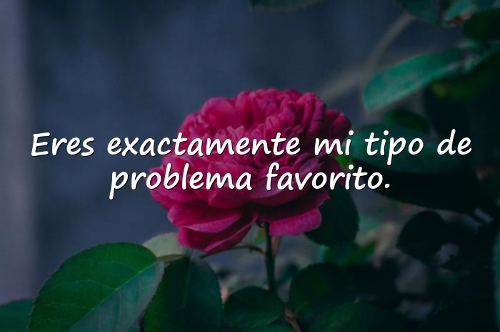 Imágenes frases para ligar - 1