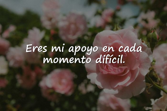 Imágenes frases para mama - 5