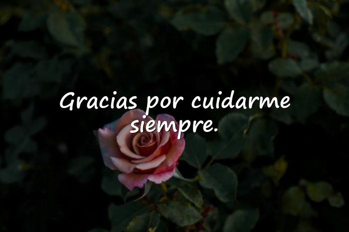Imágenes frases para mama - 7