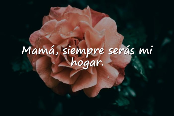 Imágenes frases para mama - 1