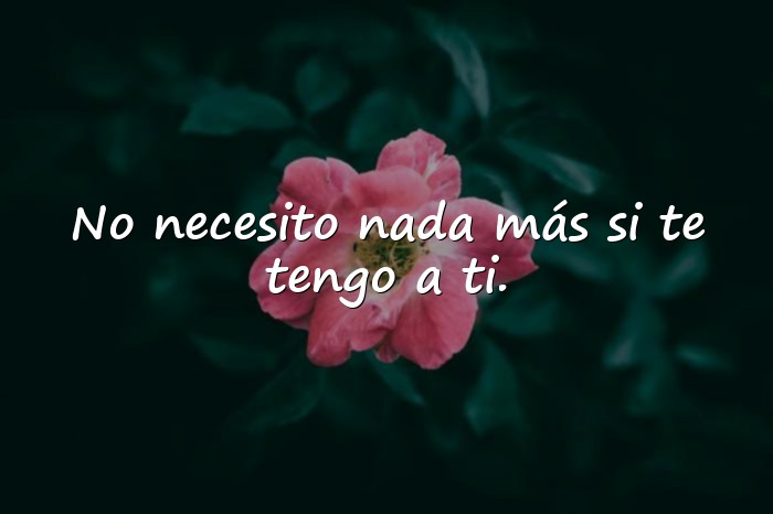 Imágenes frases para mi amor - 18