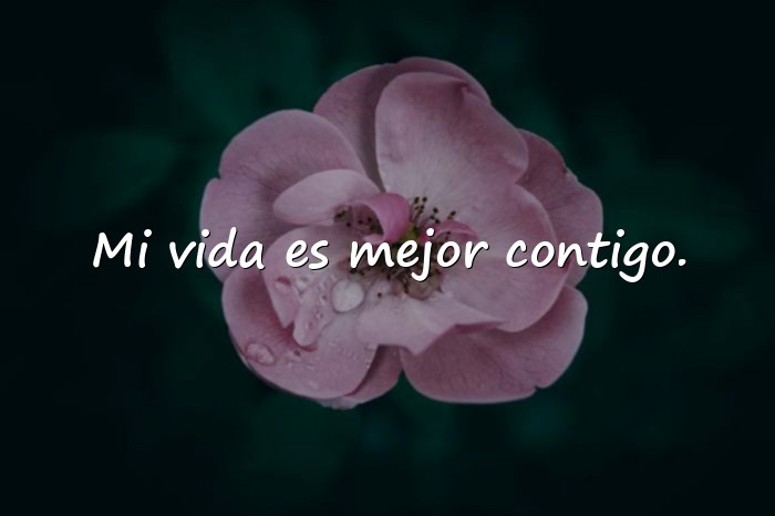 Imágenes frases para mi amor - 14