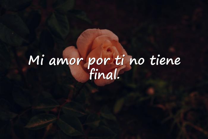 Imágenes frases para mi amor - 12