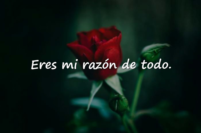 Imágenes frases para mi amor - 6