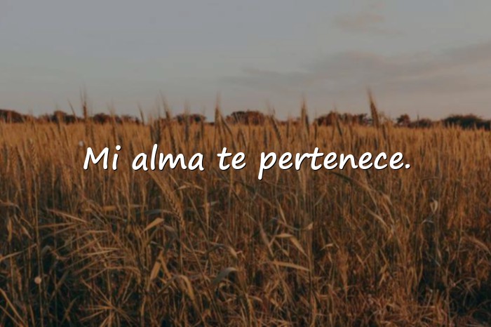 Imágenes frases para mi amor - 2