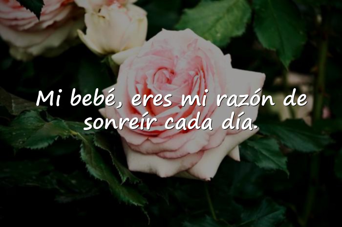 Imágenes frases para mi bebe - 14