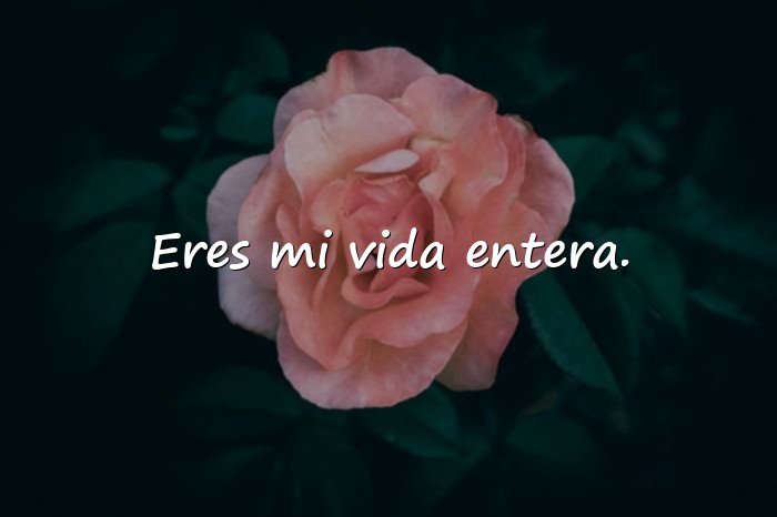 Imágenes frases para mi bebe - 5