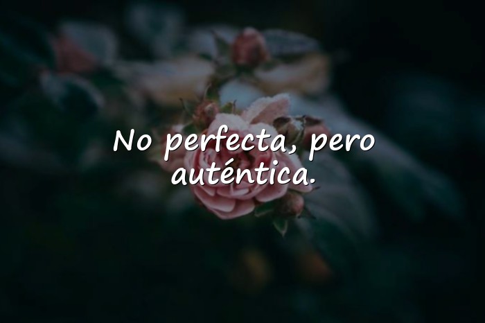 Imágenes frases para mi foto - 10