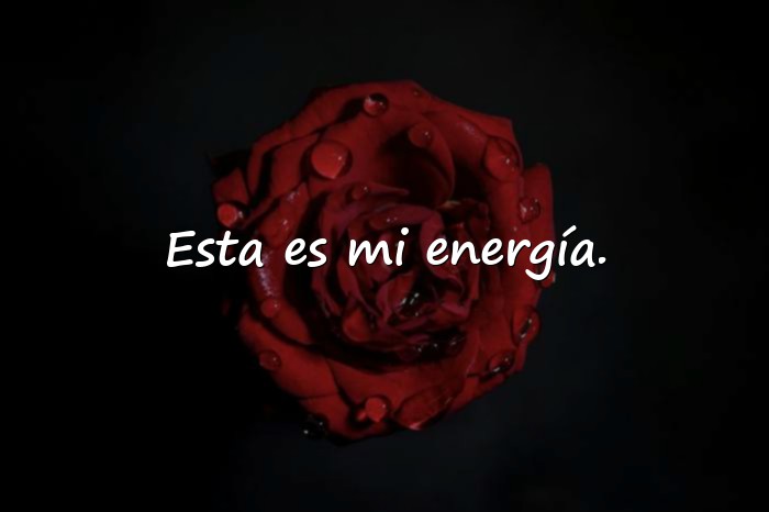 Imágenes frases para mi foto - 6