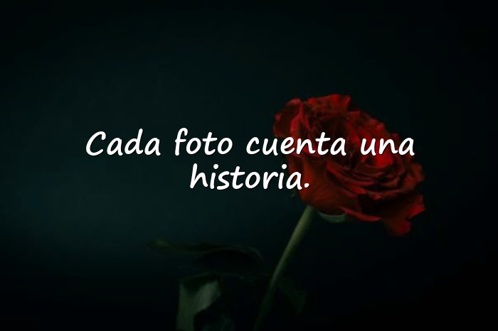 Imágenes frases para mi foto - 2