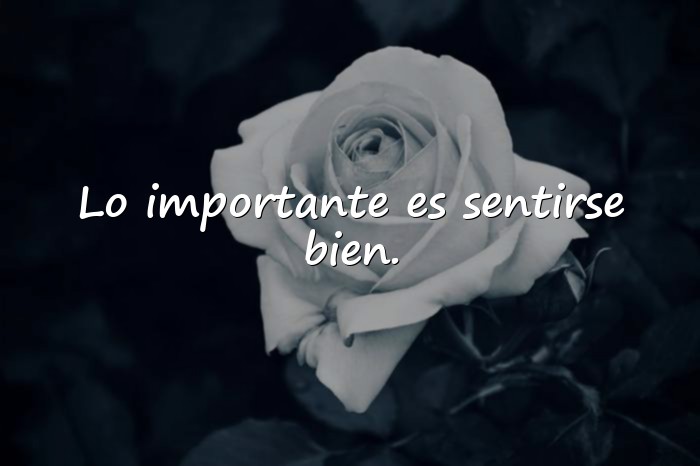 Imágenes frases para mi foto - 10