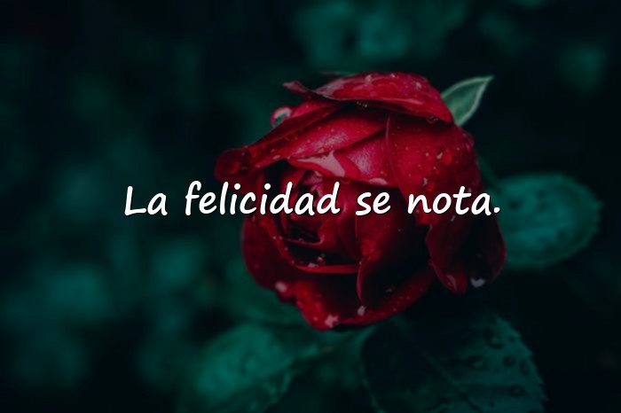 Imágenes frases para mi foto - 5