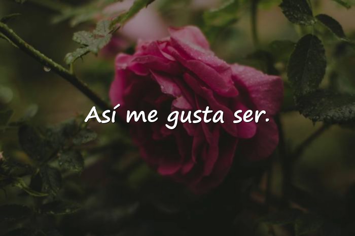 Imágenes frases para mi foto - 1