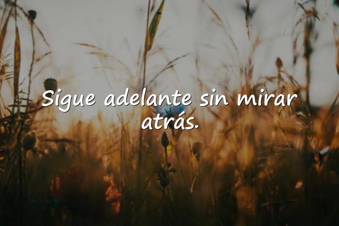 Imágenes frases para motivar - 2