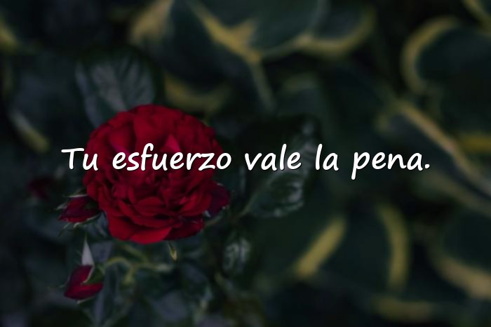 Imágenes frases para motivar - 14