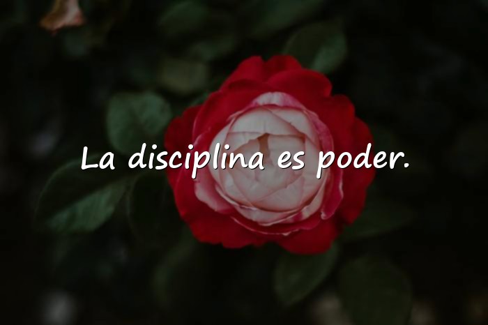 Imágenes frases para motivar - 12