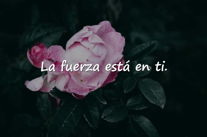 Imágenes frases para motivar - 10