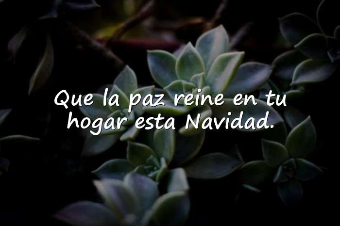 Imágenes frases para navidad - 13