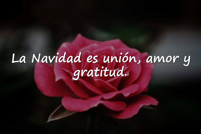 Imágenes frases para navidad - 9