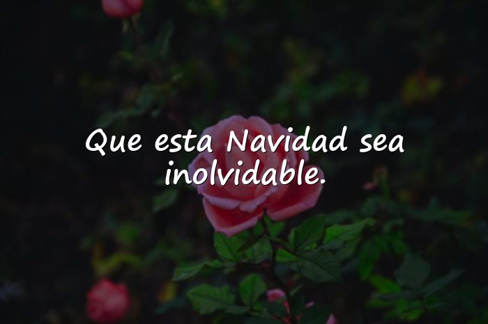 Imágenes frases para navidad - 25