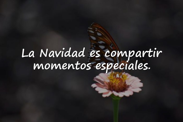 Imágenes frases para navidad - 19