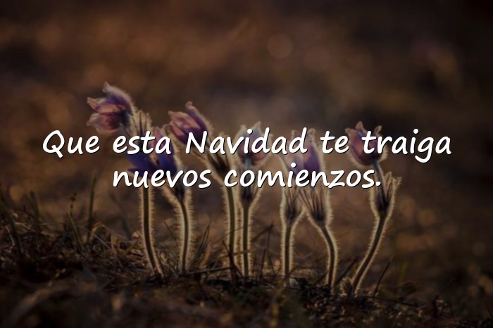 Imágenes frases para navidad - 15
