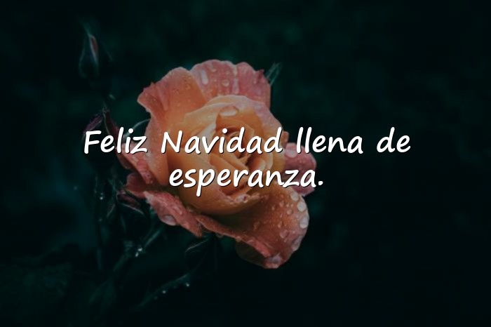 Imágenes frases para navidad - 10