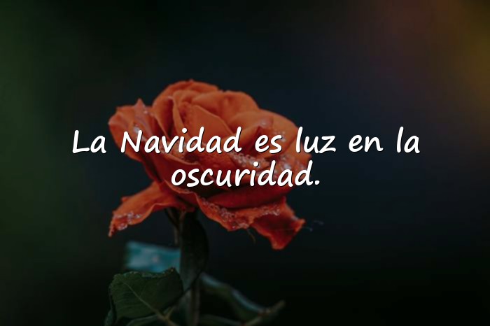 Imágenes frases para navidad - 5