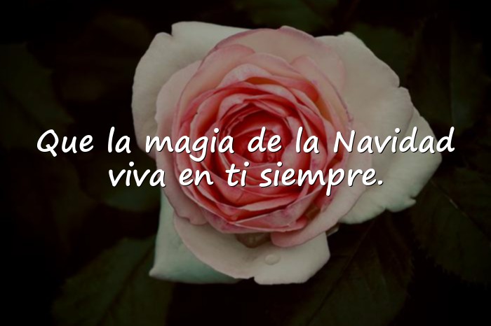 Imágenes frases para navidad - 1