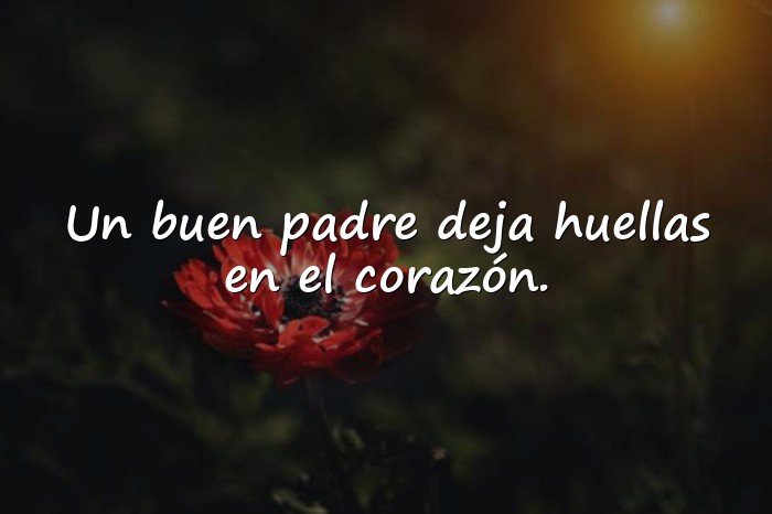 Imágenes frases para padres - 18