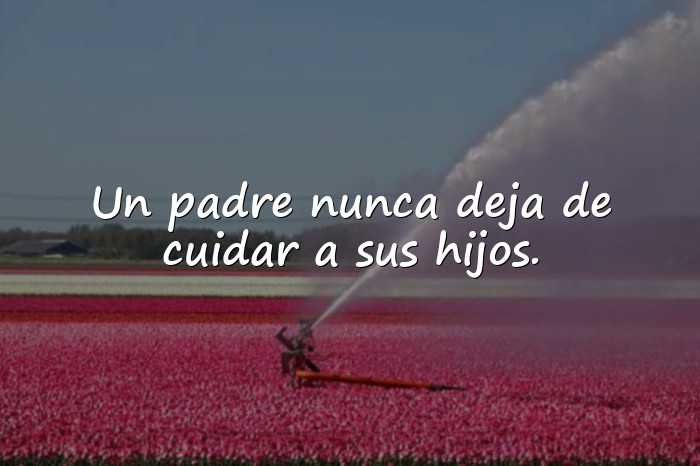 Imágenes frases para padres - 20