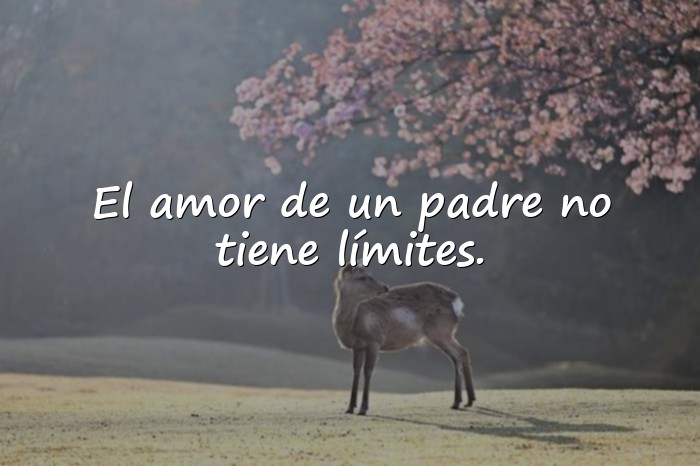 Imágenes frases para padres - 15