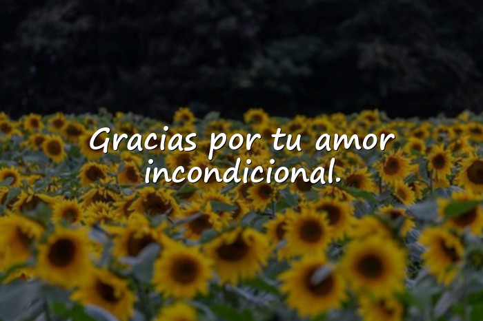 Imágenes frases para padres - 10