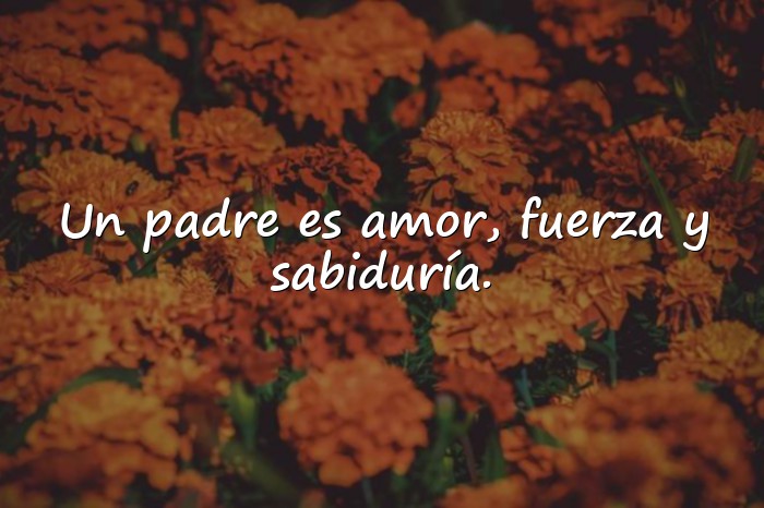 Imágenes frases para padres - 5