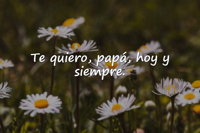 Imágenes frases para padres - 1