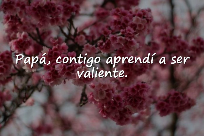 Imágenes frases para papa - 18
