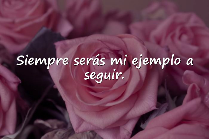Imágenes frases para papa - 13