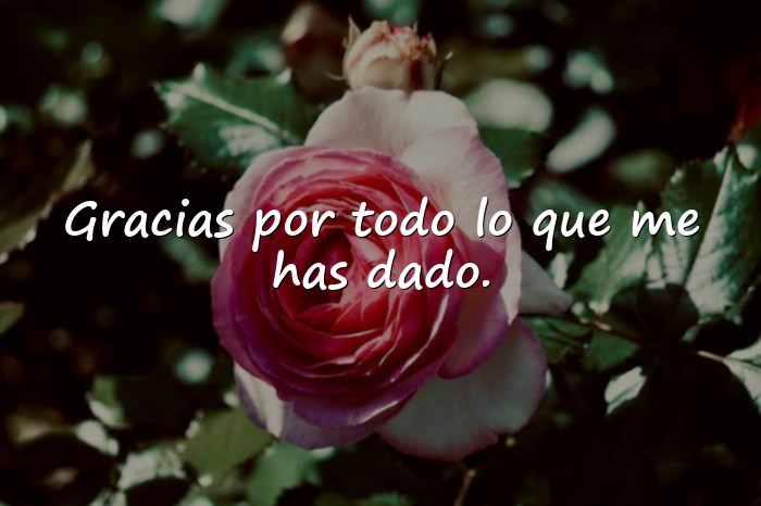 Imágenes frases para papa - 16