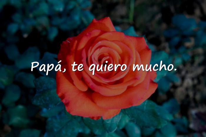 Imágenes frases para papa - 6