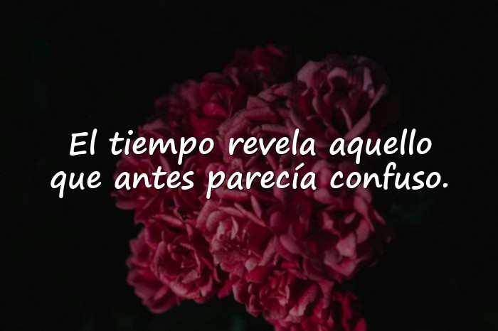 Imágenes frases para pensar - 16