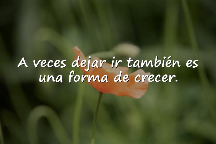 Imágenes frases para pensar - 12