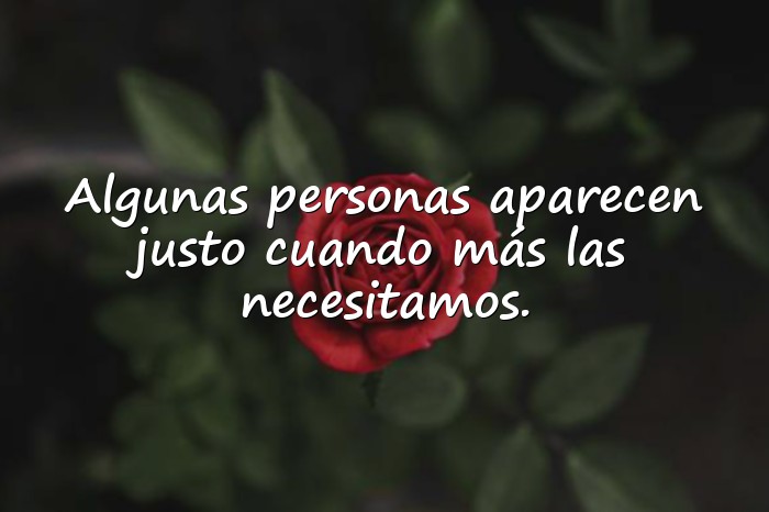 Imágenes frases para pensar - 19