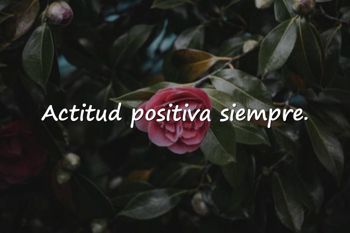 Imágenes frases para perfil - 23