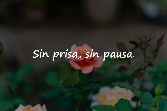 Imágenes frases para perfil - 20