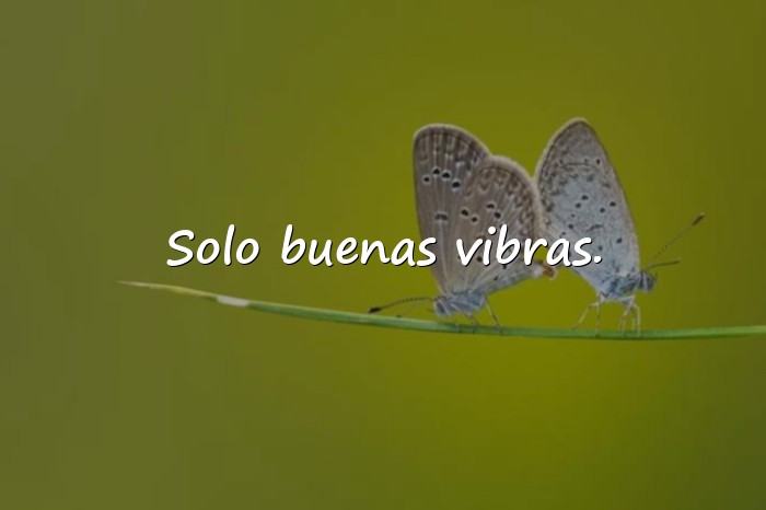 Imágenes frases para perfil - 16