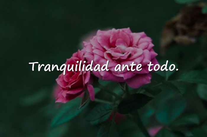 Imágenes frases para perfil - 13