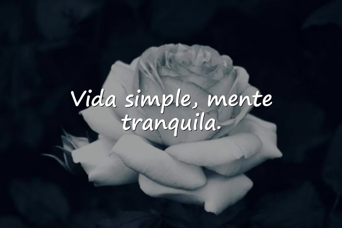 Imágenes frases para perfil - 11